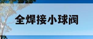 全焊接小球阀(全焊接球阀生产)