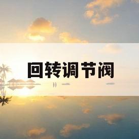 回转调节阀(调节阀的回程误差)